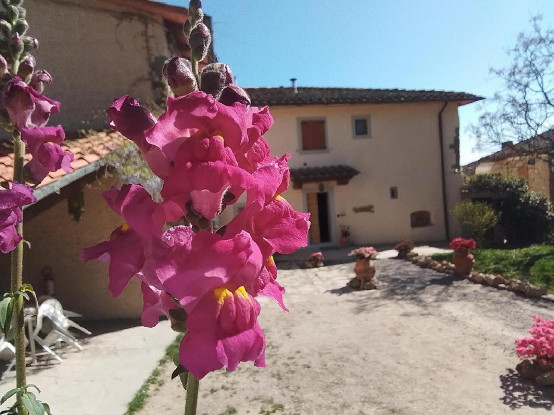 Casa Vacanze Podere Ugolini Ronta Exterior foto